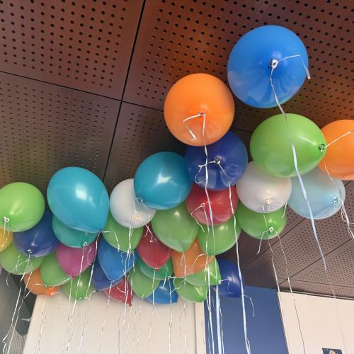 Fasching 7