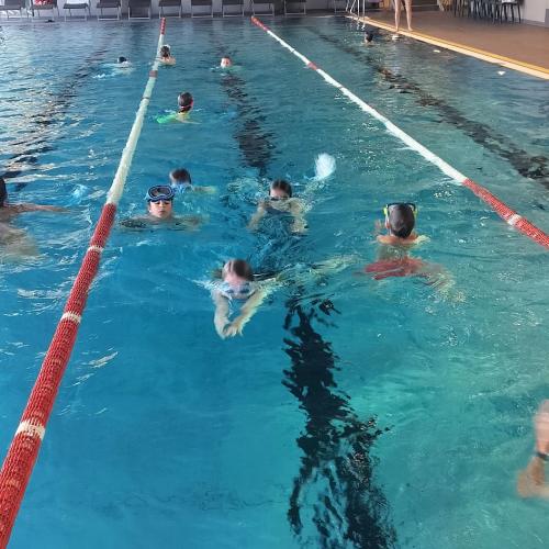 Schwimmen