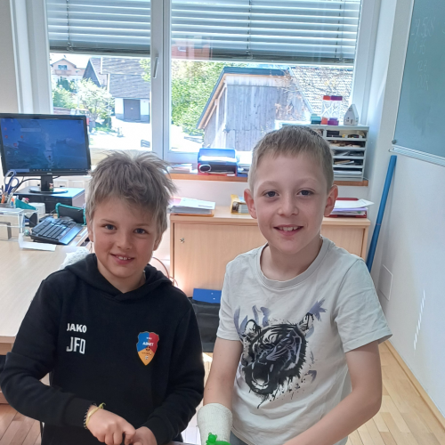 Kinderheilpflanzen