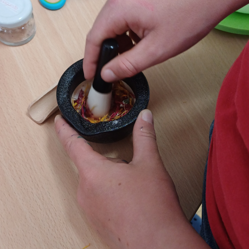 Kinderheilpflanzen