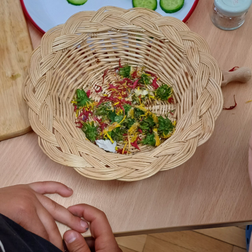 Kinderheilpflanzen
