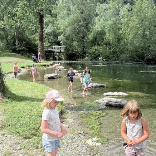 Teich